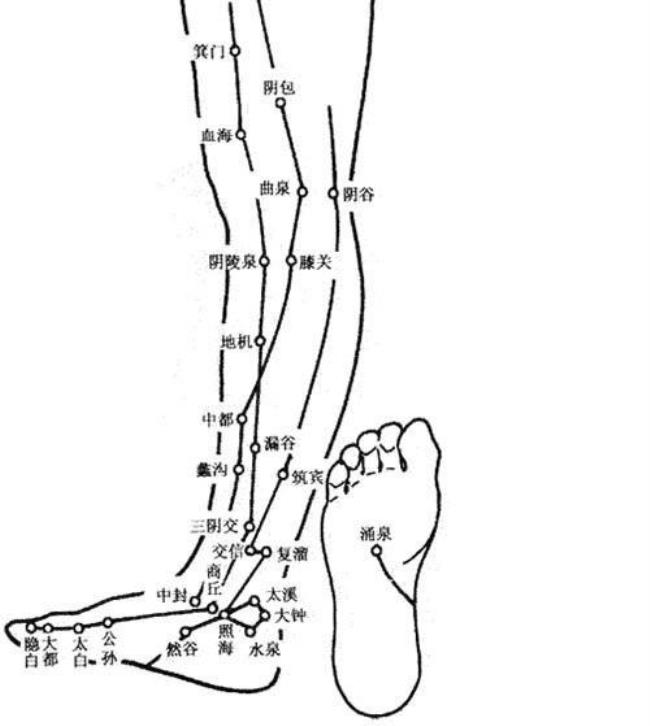 五大输穴都是什么穴位