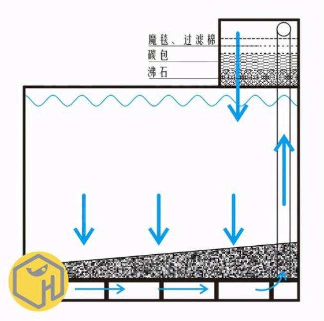 30厘米鱼缸如何自制小型过滤系统