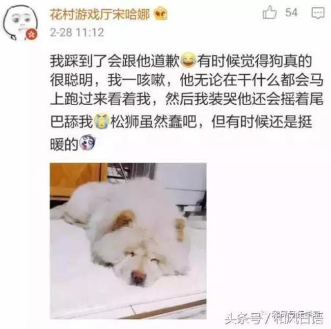 什么叫踩死感