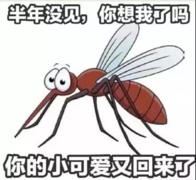 蚊子为什么会叮嘴巴