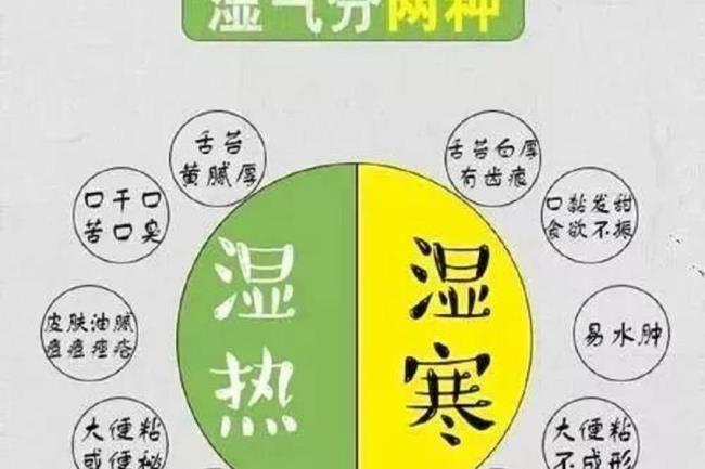 人体内的湿气是什么