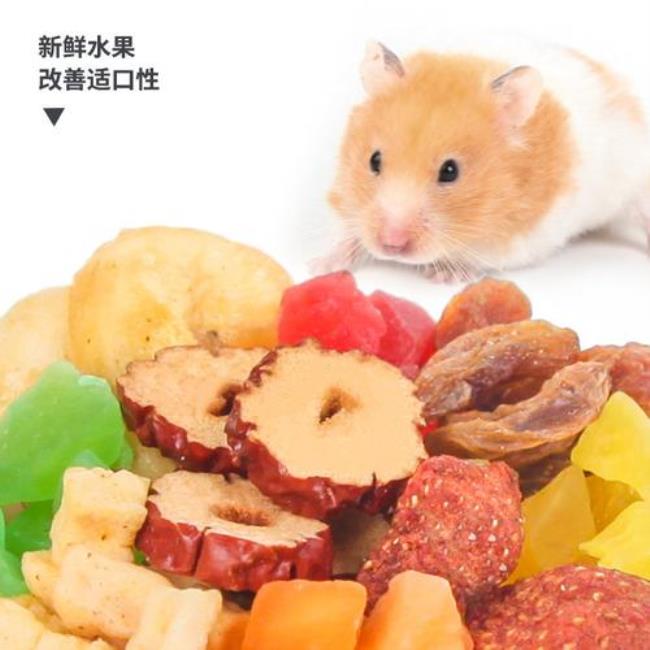 仓鼠为什么不能吃水果