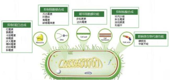 优质和品质的区别