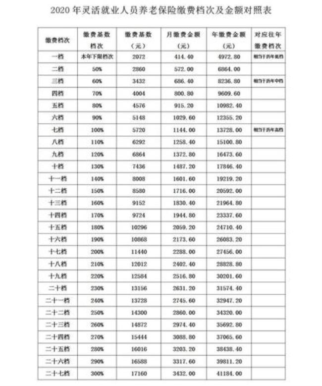 养老保险代缴费机构怎么收费