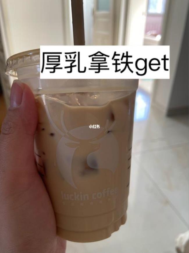 厚乳是啥