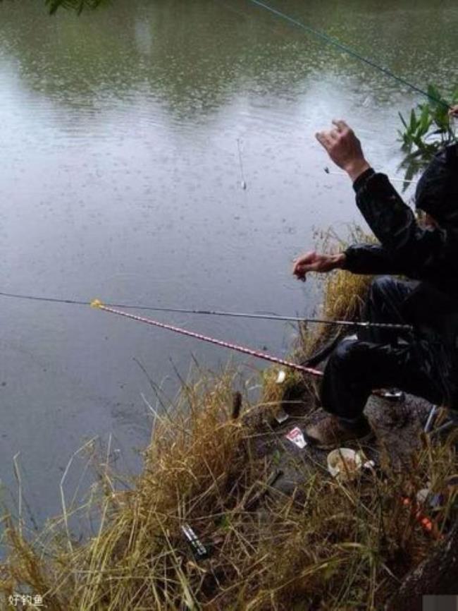 下雨天为什么适合钓鱼
