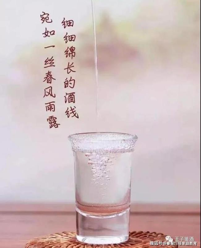 相逢的酒千杯不会醉原文