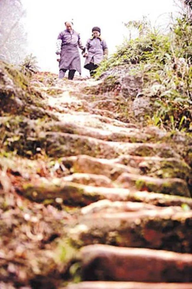 女孩们上山砍柴电影