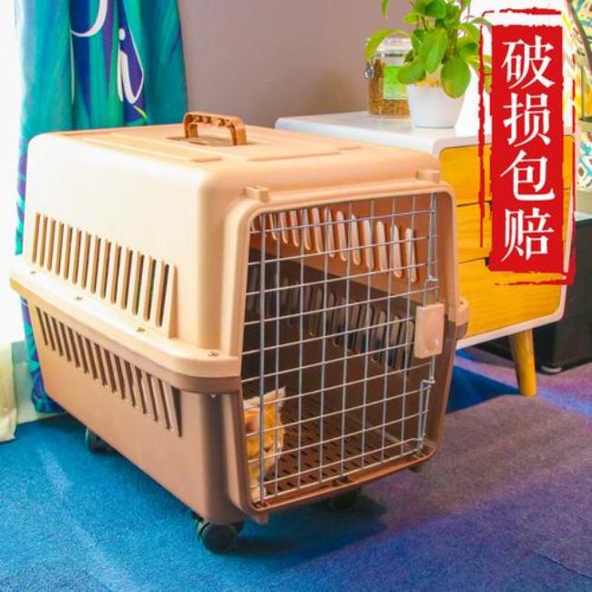 猫托运需要什么