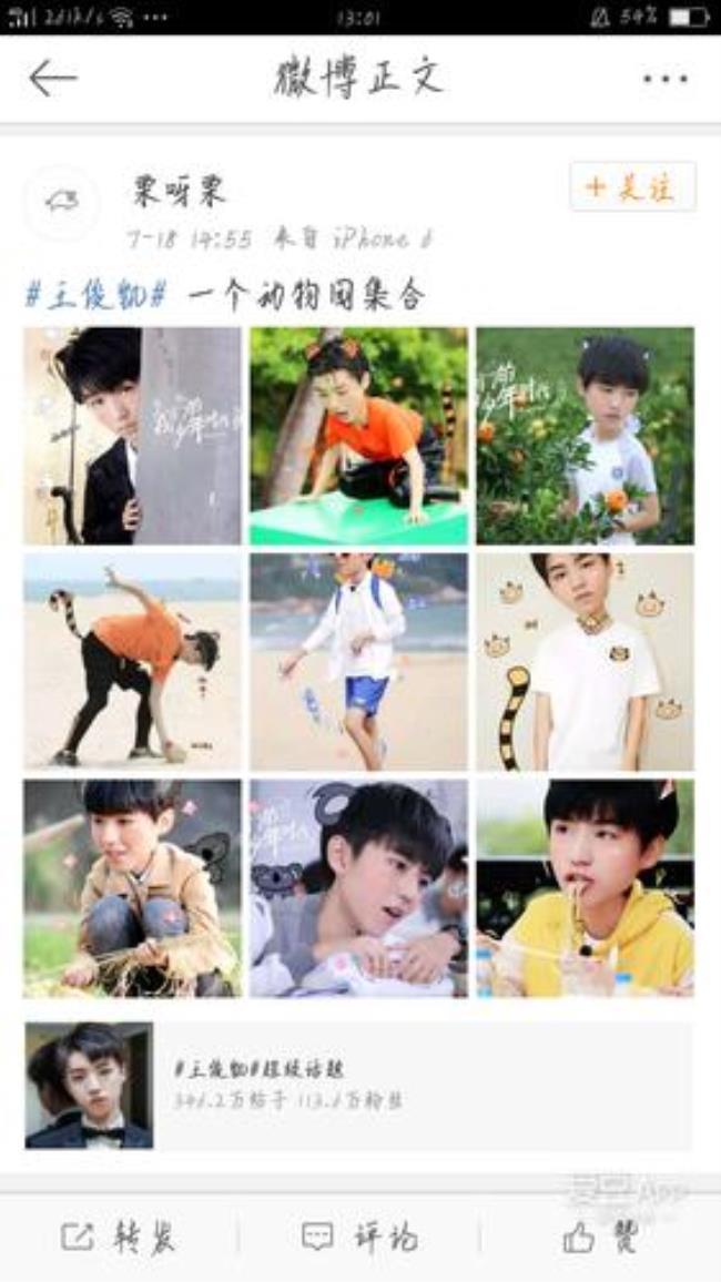 tfboys动物代表名称