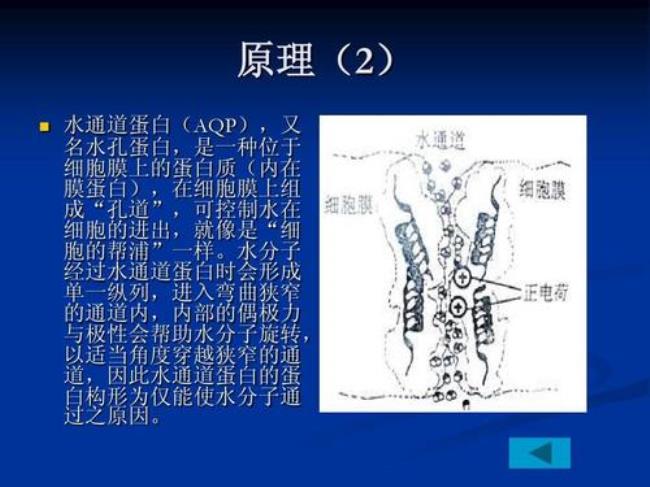 水通道蛋白是什么运输方式