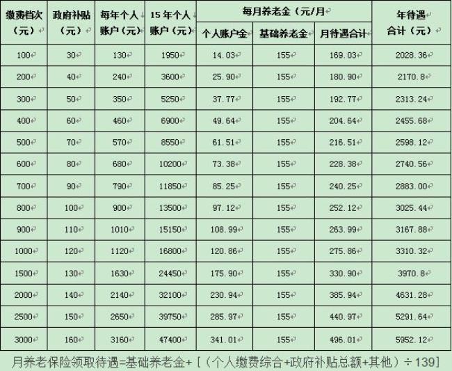 怎么查自己每月的养老金有多少