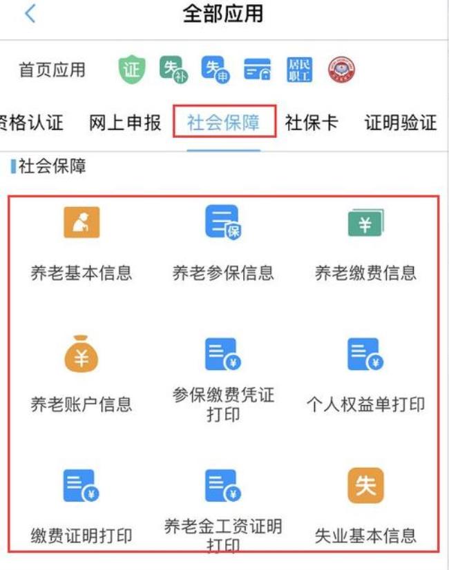 个人养老金余额组成怎么查