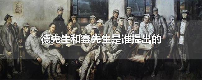 德.赛两先生指什么