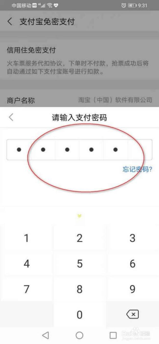 支付宝安全密码是什么