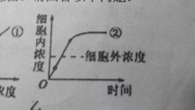 水通道和自由扩散哪个快