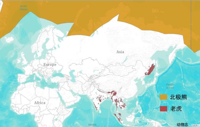 东北虎数量及分布