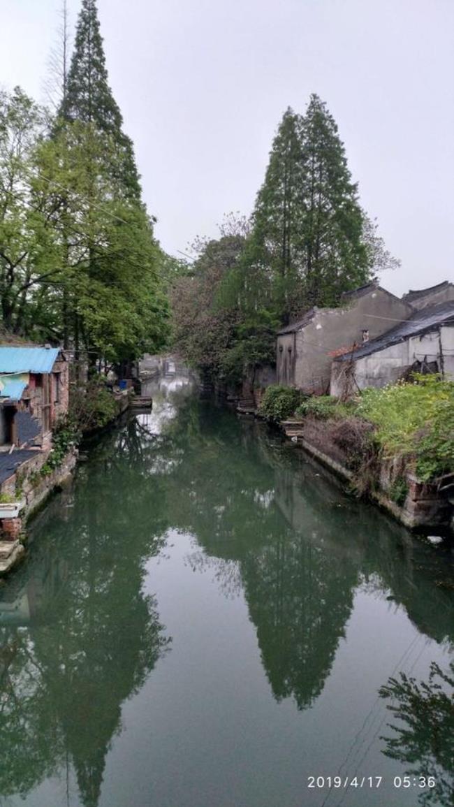 春风又绿江南岸哪一年拍的