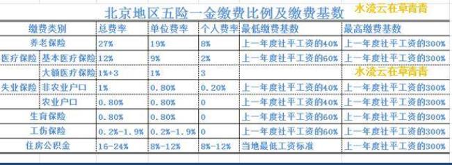 2010年五险标准是多少