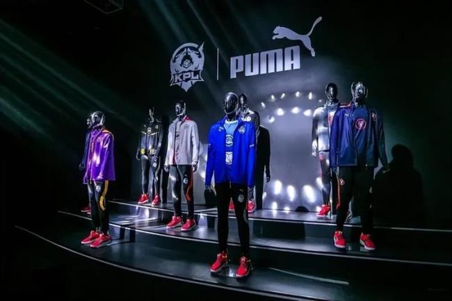 PUMA公司的文化特征