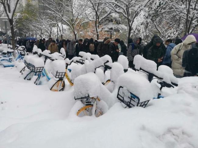 为什么海口冬天不会下雪