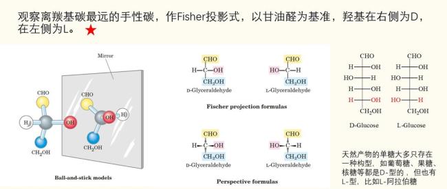 化合物r和s有什么区别