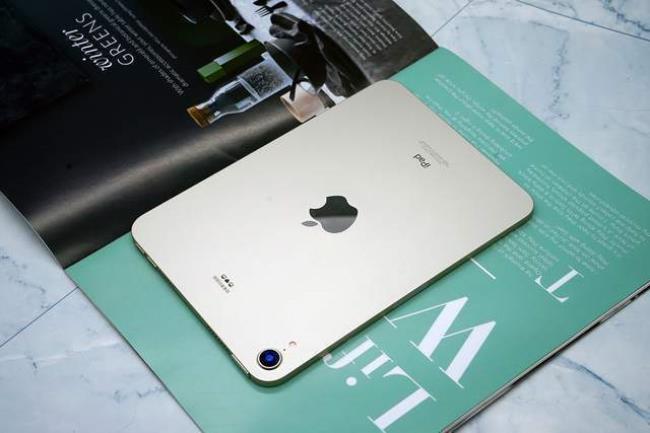 ipad mini6自带充电器吗