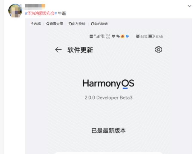 harmonyos系统能装ie.浏览器吗