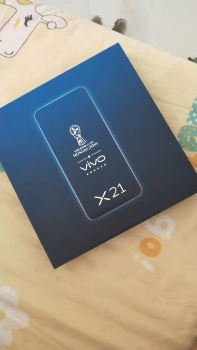 vivox21a怎么进开发者选项