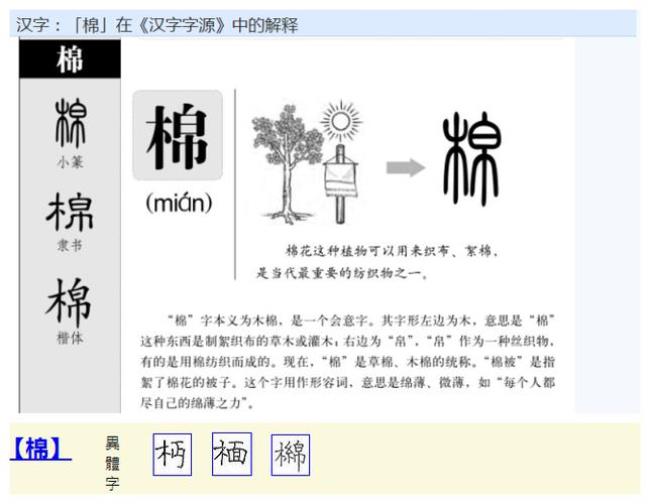 棉质是什么成分