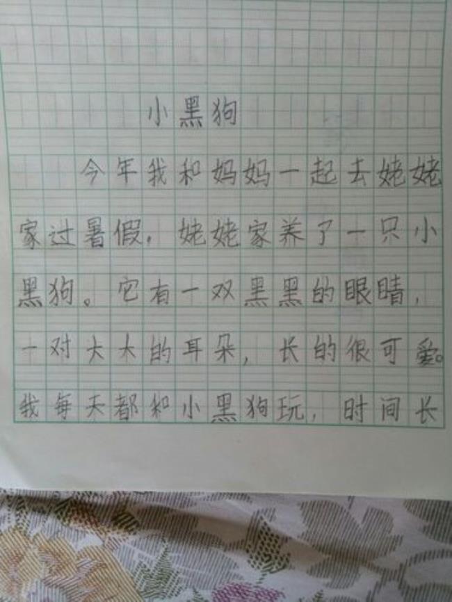 救救小黑狗的读书感悟