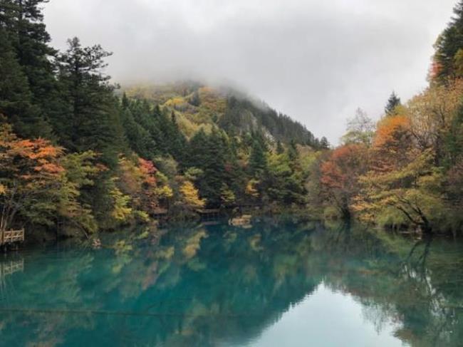 去了九寨沟还有必要去双桥沟