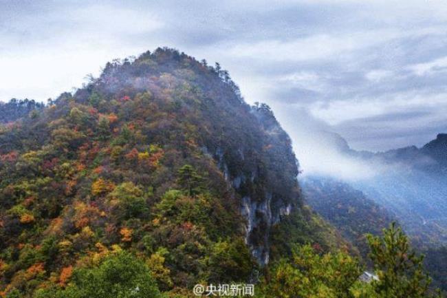 神农架在湖北的哪个市