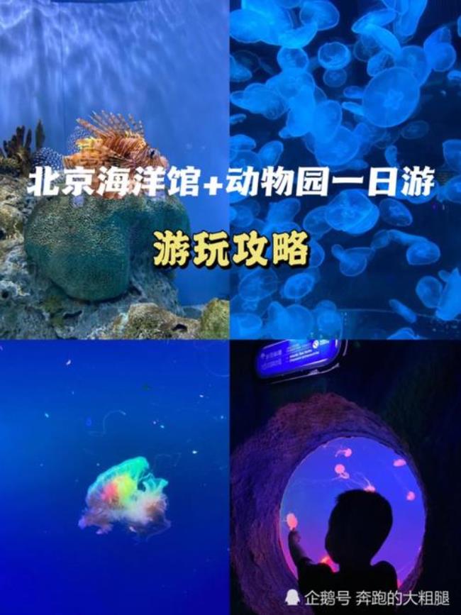 北京动物园海洋馆停车攻略