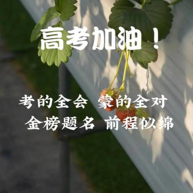 祝你前程似锦的古文