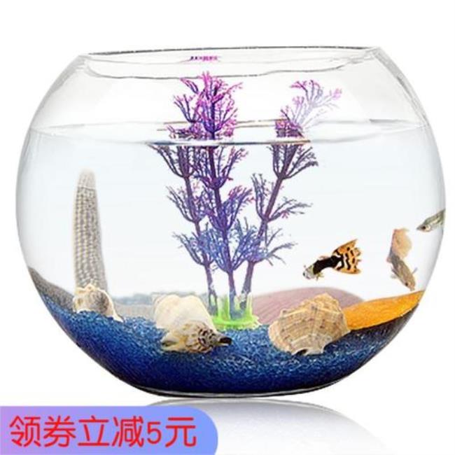 水族箱和玻璃缸哪个好