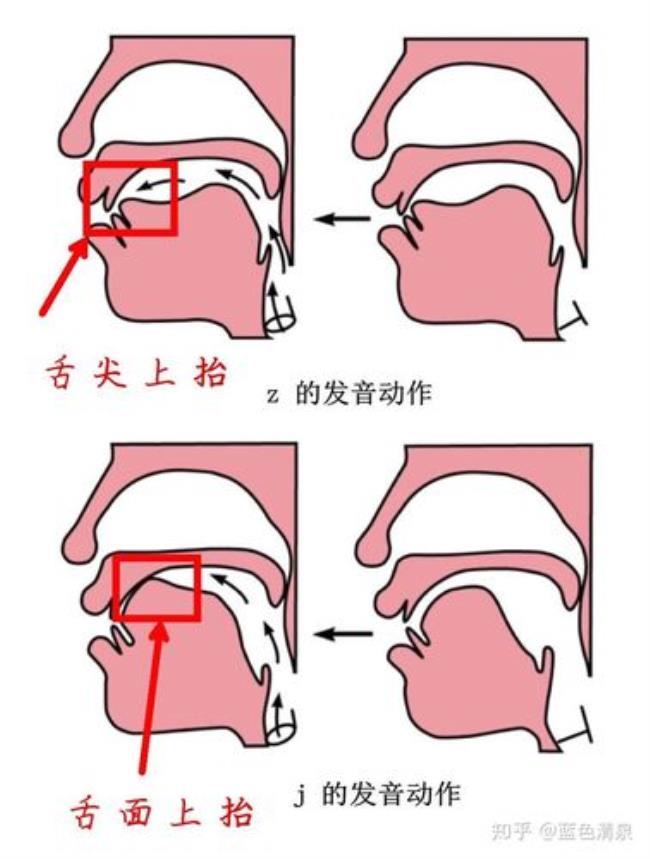 zoo和zero的z发音相同吗