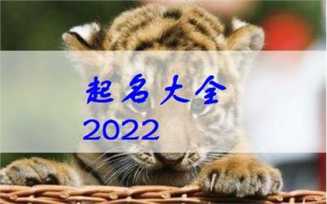 2022年虎宝宝乳名大全洋气点的