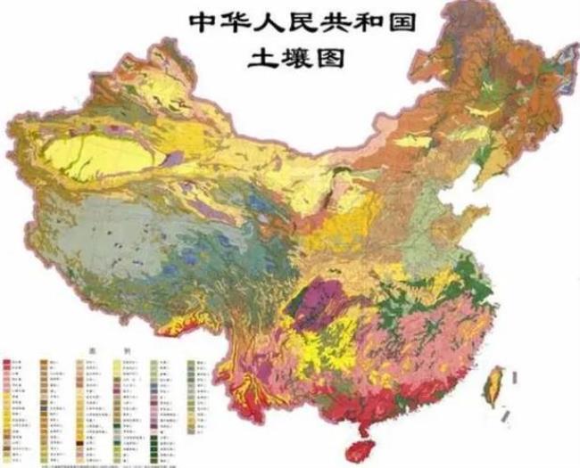 中国那个省土地面积最多