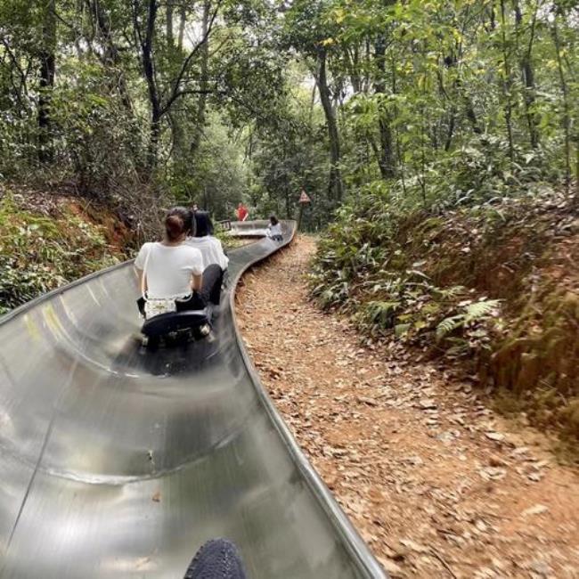 下雨岳麓山滑道开吗