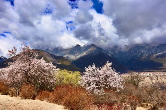 漫山遍野的意思是什么标准答案