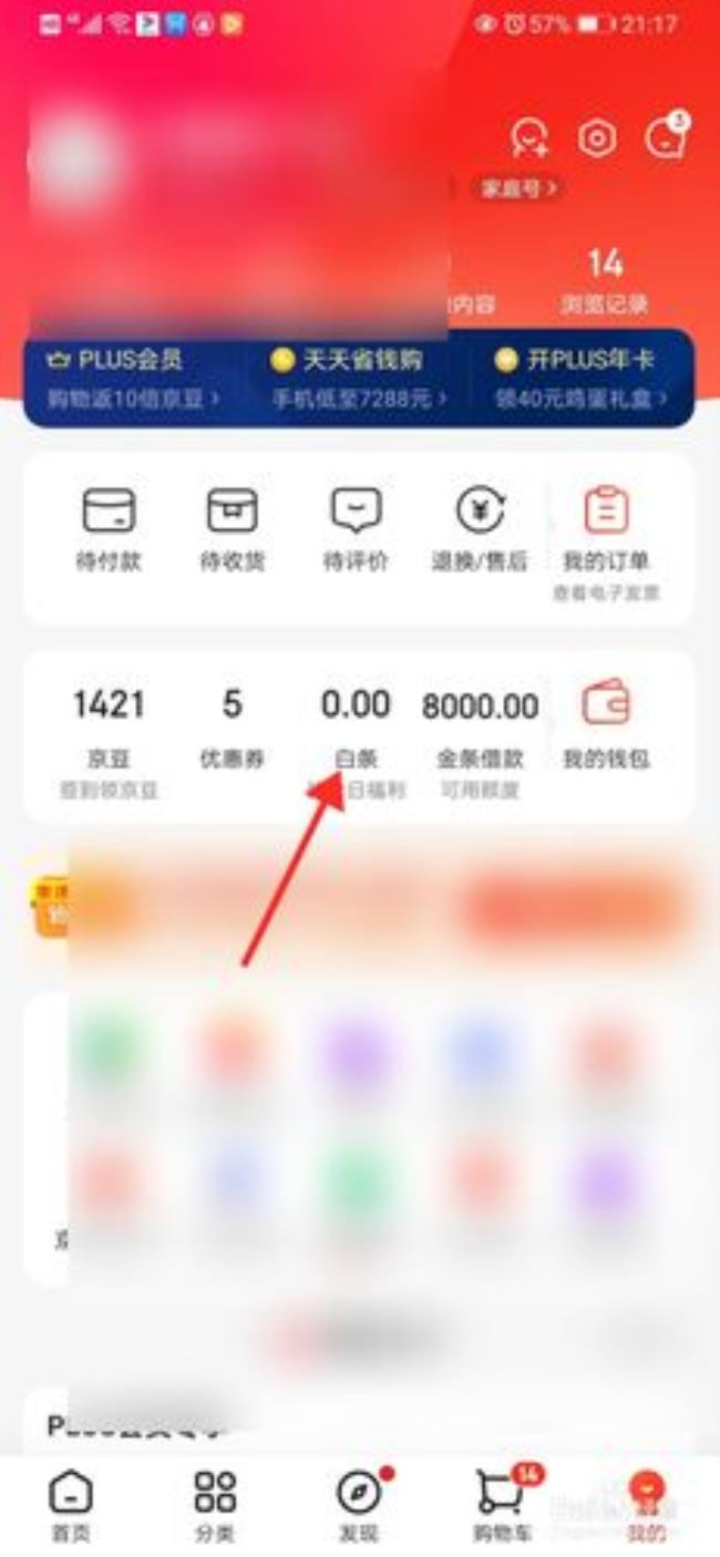 京东白条10000分期利息多少