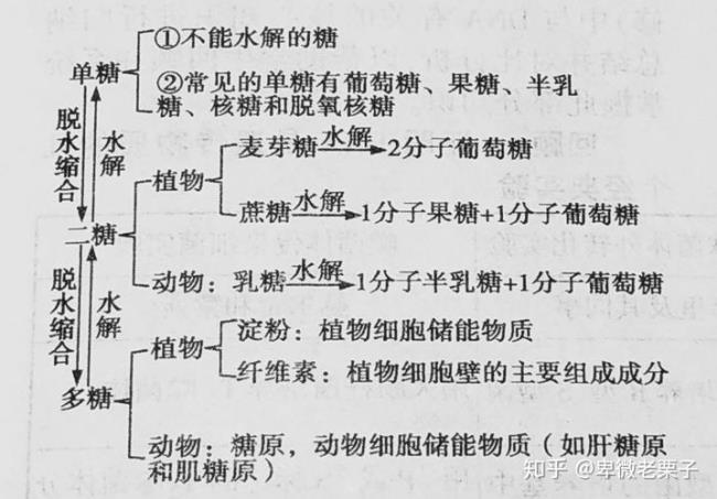 生物中的还原性啥意思