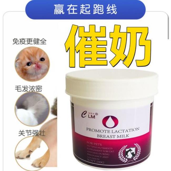 猫咪产后如何催奶