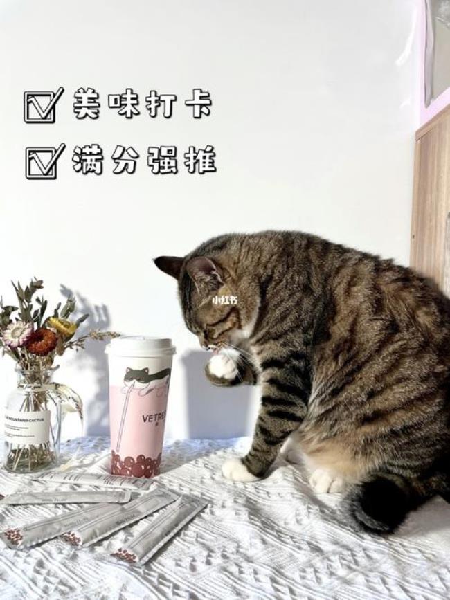 猫咪可以吃汉堡和可乐吗