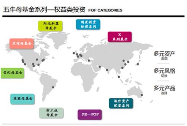 fof基金包含哪些公司