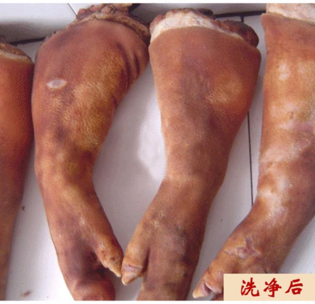 广东风干腊猪脚的腌制方法