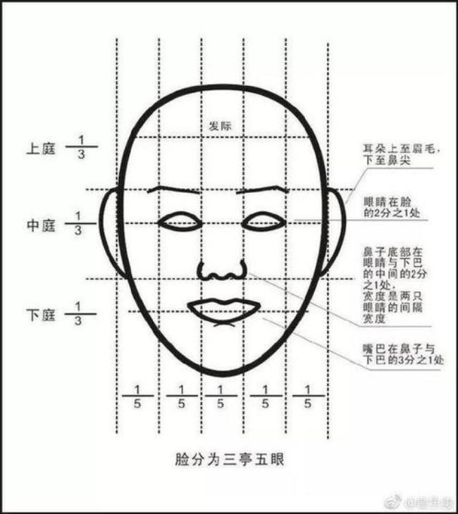 标准眉型数据