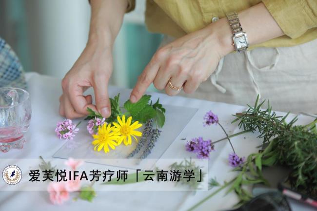 考IFA国际芳疗师证有什么好处