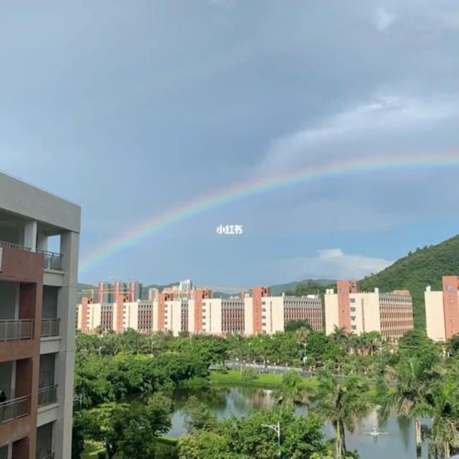 珠海科技学院为什么改名